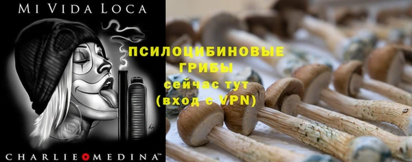 амф Алексеевка