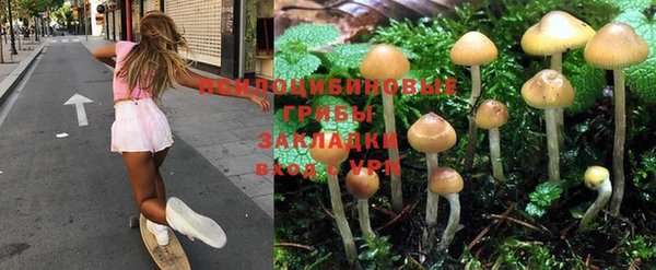 амф Алексеевка
