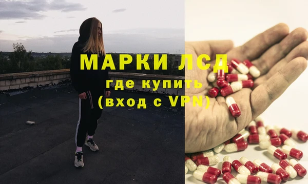 стафф Алзамай