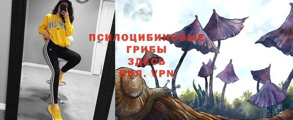 синтетический гашиш Алексин