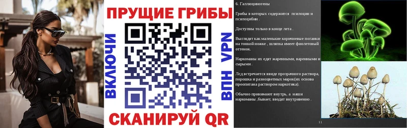 Галлюциногенные грибы Cubensis  даркнет сайт  Павловский Посад 